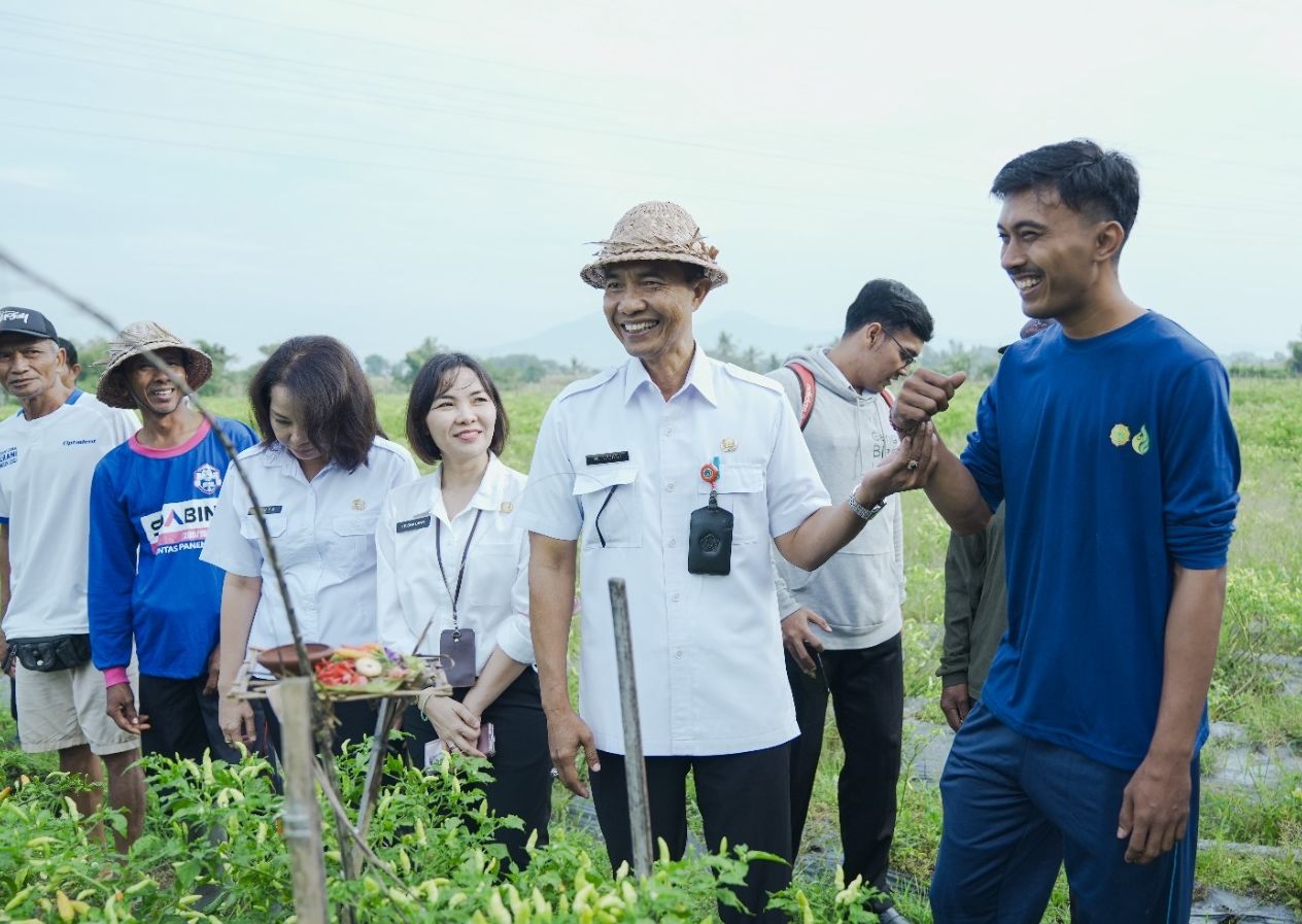 Pemerintah Kabupaten Badung mengadakan program kampung cabai bersama dengan kelompok Petani Sari Amerta.