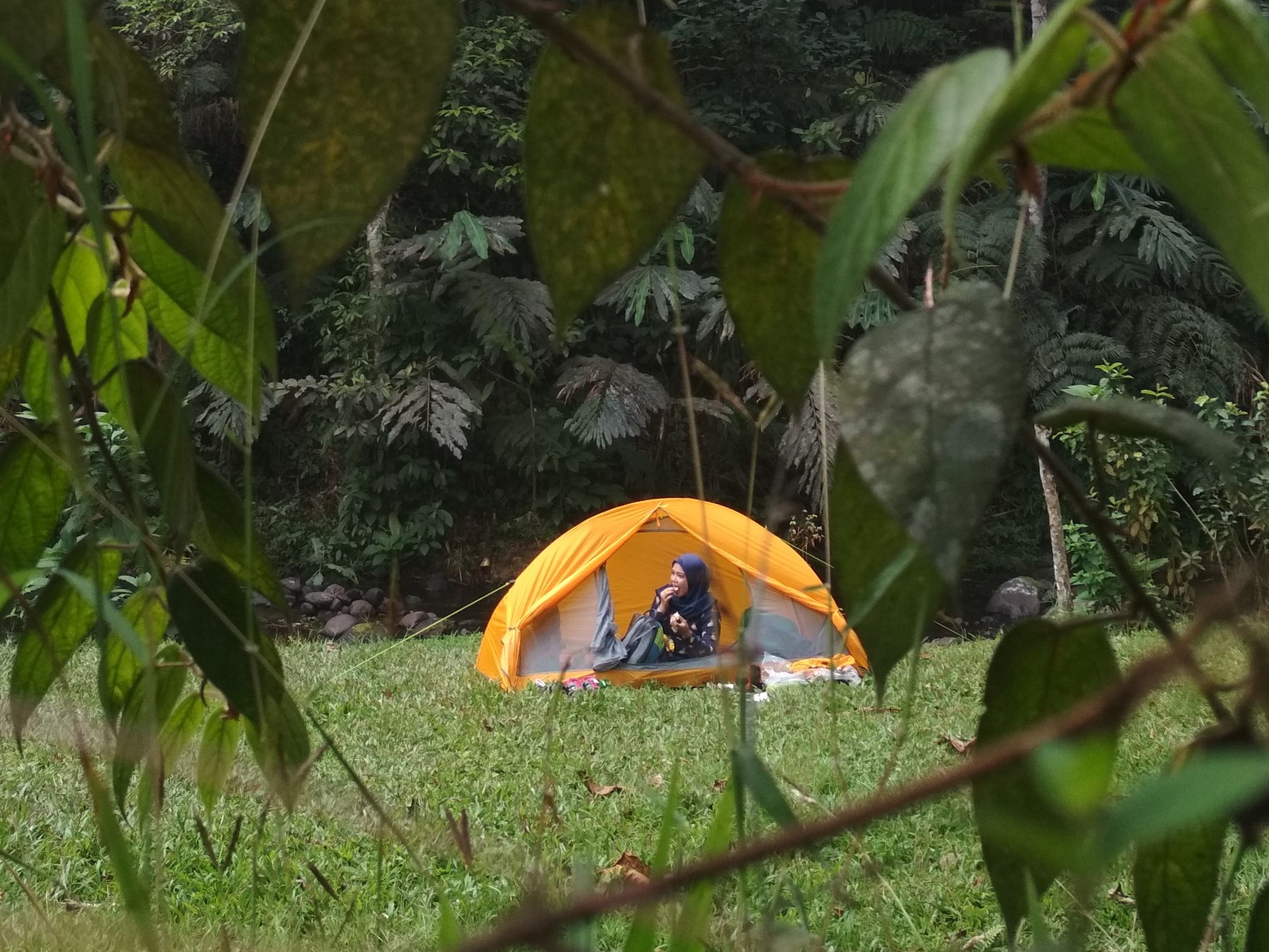 Camping Groung Citalahab Desa Wisata Malasari, Nanggung, Kabupaten Bogor
