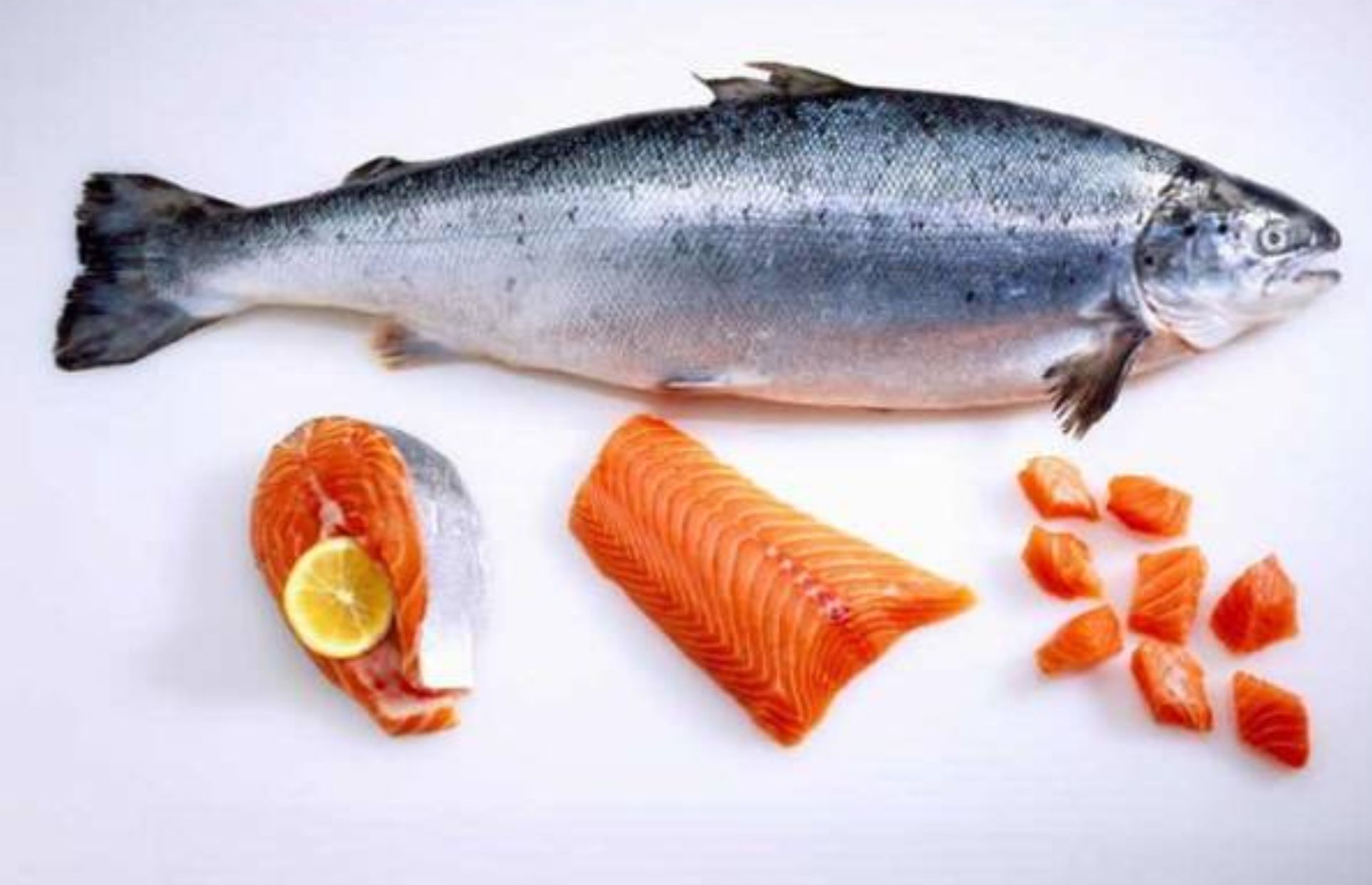 Ikan salmon merupakan salah satu sumber protein berkualitas tinggi yang kaya akan nutrisi penting bagi kesehatan. Berikut adalah beberapa kandungan gizi yang luar biasa yang terdapat dalam ikan salmon