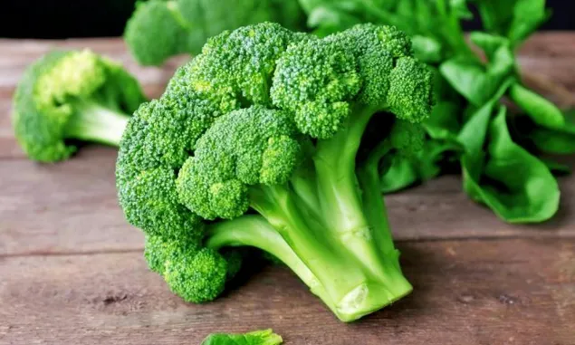 Dapat Mengatasi Sembelit dan Menghambat Pertumbuhan Tumor Hanya Dengan Mengkonsumsi Brokoli