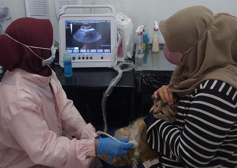 UPTD Klinik Hewan Kota Bandung kini melayani pendaftaran online untuk pemeriksaan  hewan peliharaan.