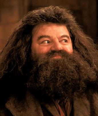 Rubeus Hagrid yang diperankan Robbie Coltrane 