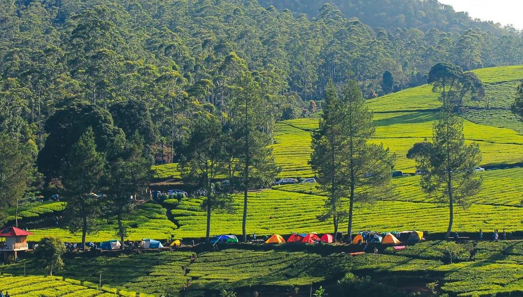 wisata alam Bandung, rekomendasi tempat wisata alam di Pangalengan Bandung yang hits Nuansa Riung Gunung, cocok untuk tahun baru seru, ada camping ceria/Instagram @nuansariunggunung/