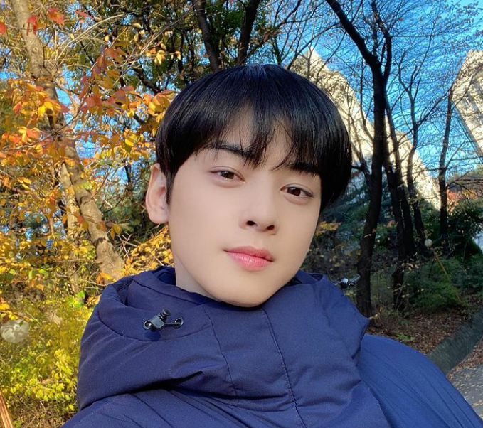 Profil Dan Biodata Cha Eun Woo Astro Lengkap Dengan Nama Lahir Mobile Legends