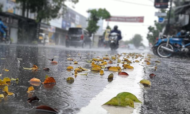 Alasan Mengapa Angin Muson Barat di Indonesia Menyebabkan Musim Hujan