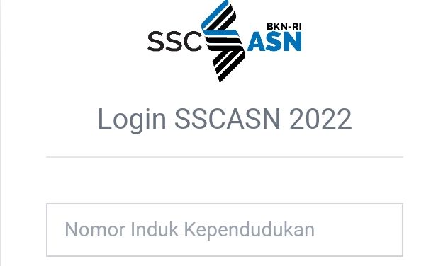 Update Terbaru Hasil Seleksi PPPK Guru 2022 Beserta Informasi Masa Sanggah P3K di sscasn.bkn.go.id