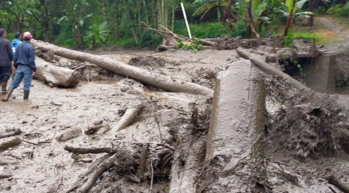Material kayu dan lumpur akibat banjir bandang di Gunung Mas, Puncak, Bogor