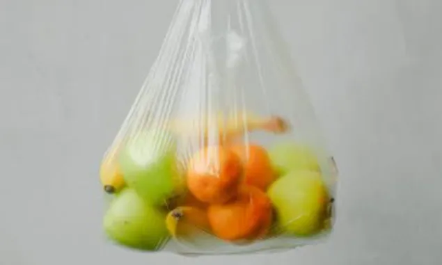 Jangan Konsumsi Makanan Panas Yang Dibungkus Plastik, Cepat Terserang Penyakit Mematikan