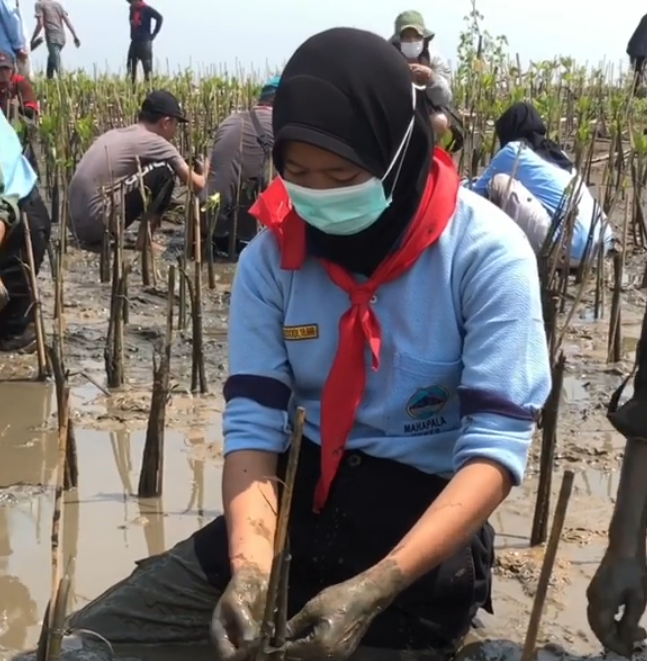 Anggota Mahapala Unnes dan 50 mahasiswa berbagai Universitas di Semarang melakukan penanaman 2000 manggrove di Mangunharjo, akhir pekan lalu. / @unnes_semarang