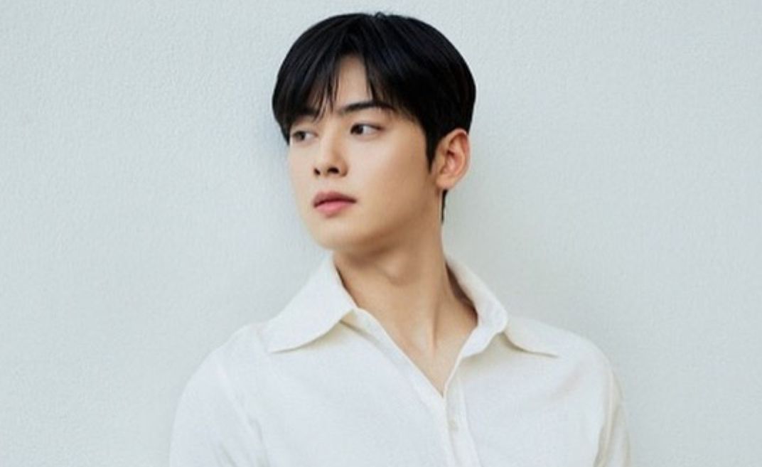 Profil Dan Biodata Cha Eun Woo Aktor Tampan Asal Korea Selatan Yang