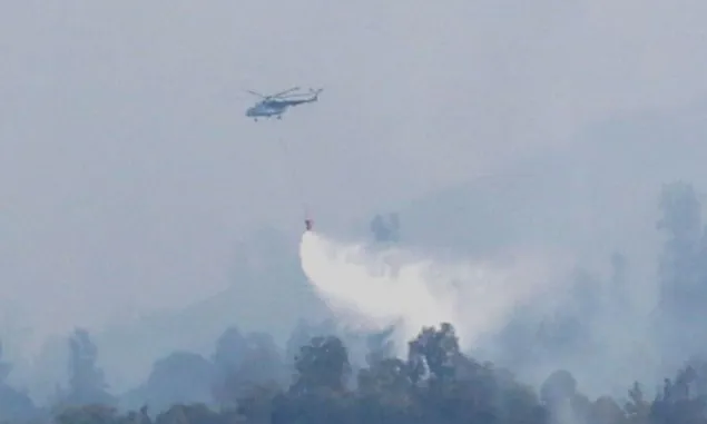 Karhutla Gunung Lawu Capai 200 Hektar, BNPB Kirim Water Bombing untuk Batasi Jalur Penjalaran Api