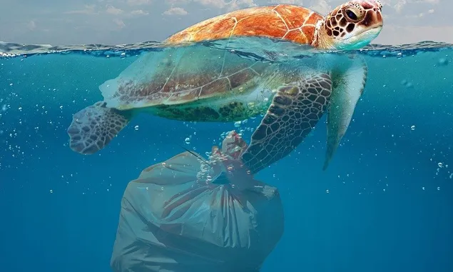 Indonesia Donatur Utama Sampah Plastik, Simak Bahaya Sampah Plastik Bagi Manusia dan Lingkungan
