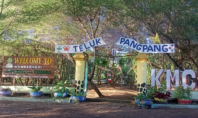 Wisata Pantai Kawang Muncar Banyuwangi, Suguhkan Ribuan Pohon Cemara dan Mangrove