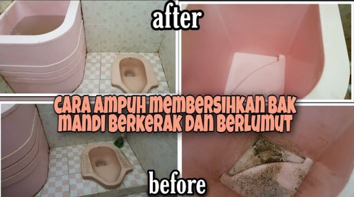 Carq Membersihkan Bak Kamar Mandi