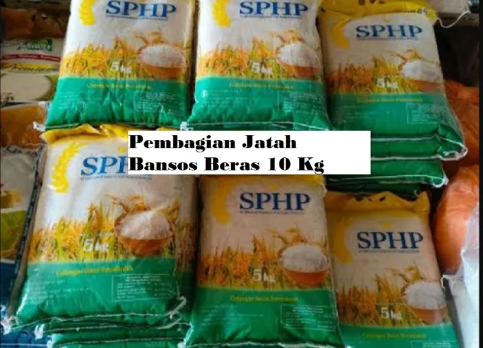 Penyaluran Bansos Beras 10 Kg Fix Sampai Juni 2024, Cek Apakah Bisa ...