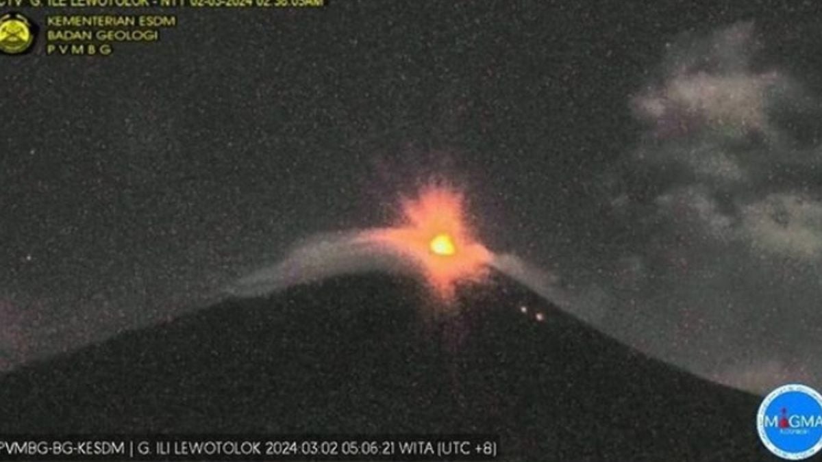 Gunung Ile Lewotolok Status Siaga! Badan Geologi KESDM Imbau Warga Tak ...