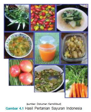 Gambar 4.1 Macam-macam sayuran pada halaman 121 - Buku Teks Prakarya Kelas 7 SMP MTs Kurikulum 2013.