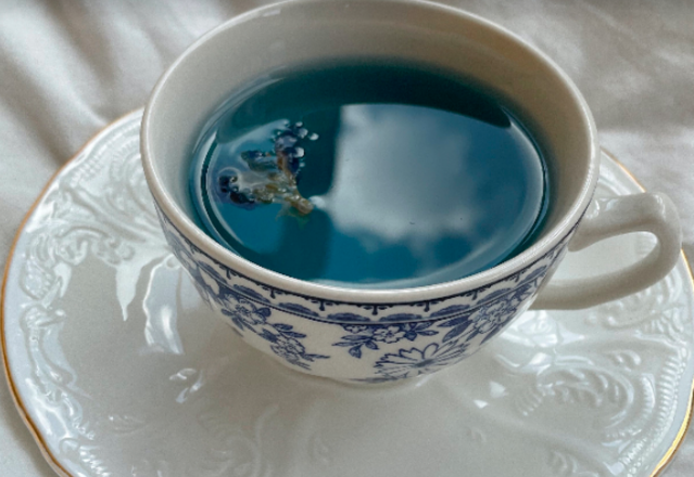 Bunga telang bisa juga dibuat  minuman teh telang