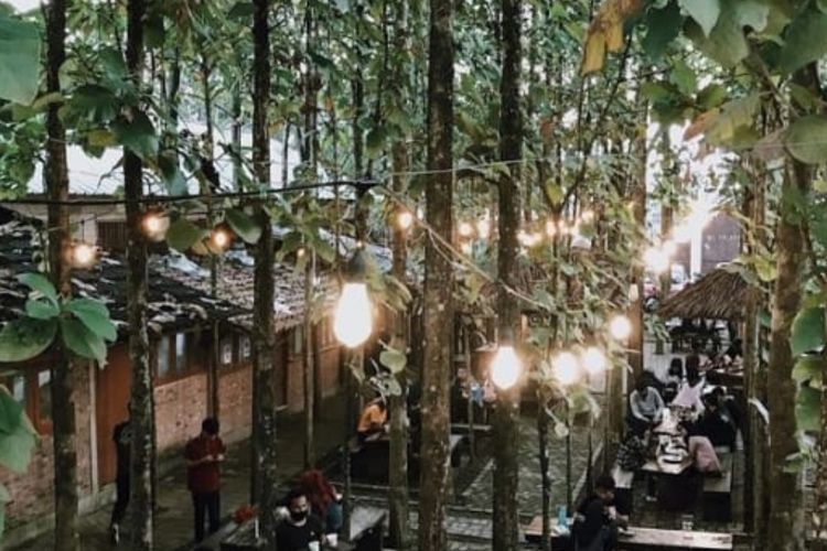 Cafe di Tangerang Selatan Ini Tersembunyi di Tengah-tengah Hutan Jati