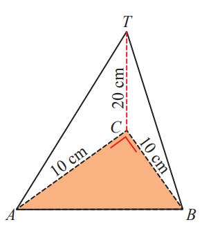 Kunci Jawaban Matematika Kelas 8 Halaman 152 153 154 Ayo Kita Berlatih 8.3 No 1-8 Luas Permukaan Limas