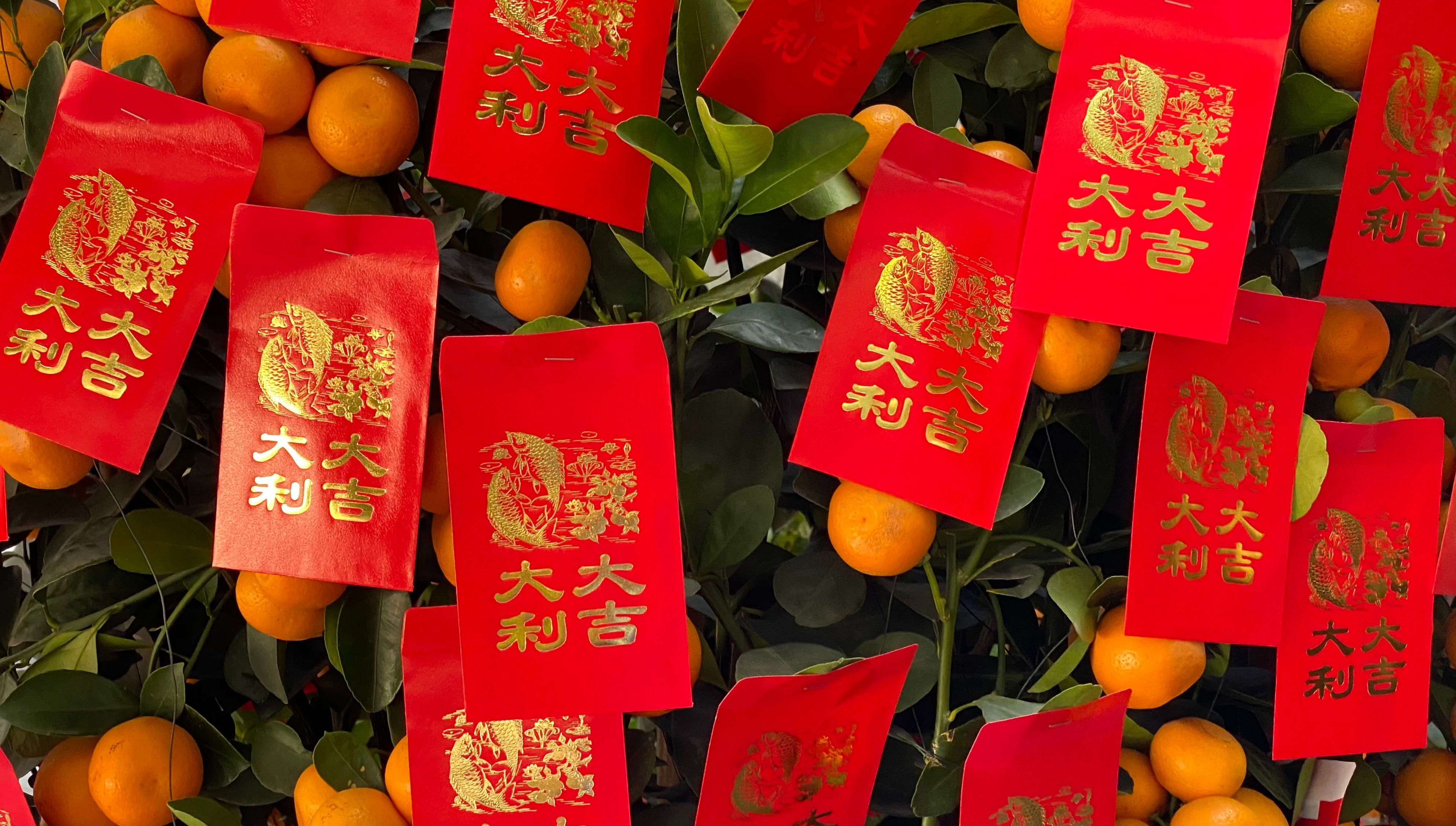 Berikut kumpulan 10 ucapan Selamat Tahun Baru Imlek selain Gong Xi Fa Cai, segera bagikan kepada keluarga, teman, dan kerabat. 