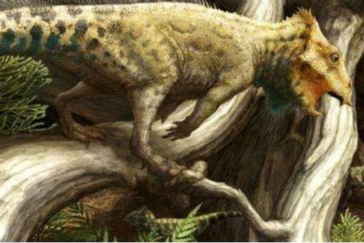 Neoceratopsian, Oldest Horned Dinosaur Species Found in Montana, North America