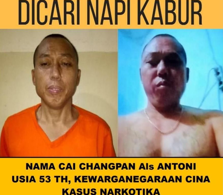 Ahli Melarikan Diri, Berikut 4 Fakta Menarik Tentang Cai ...