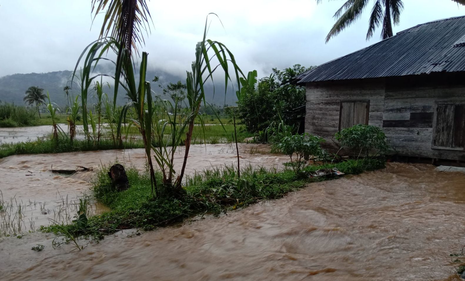Salah satu peristiwa banjir yang menerjang Nagari Tabek Sirah Talu, salah satu nagari tangguh bencana di Kabupaten Pasaman Barat, Sumatera Barat