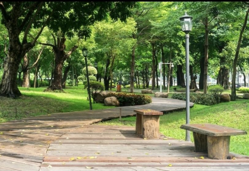 Taman Hutan Kota/ freepik