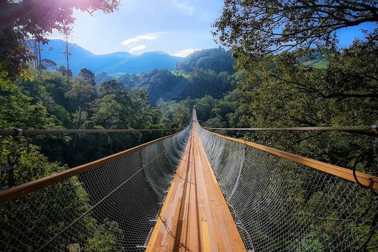 Info Harga Tiket Rengganis Suspension Brigde: Wisata Baru di Ciwidey dan Jembatan Terpanjang Se Asia Tenggara - Bandung Raya - Halaman 2