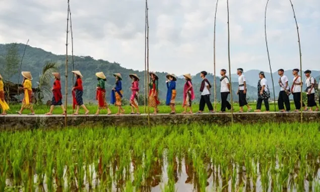 Hamparan Sawah yang Menawan di Desa Baginda Kabupaten Sumedang, Daya Tarik Alami Wisata Budaya Lokal
