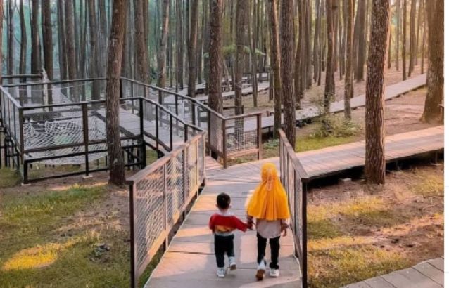8 Rekomendasi Wisata Terdekat di Bantul yang Paling Indah dan Instagramable