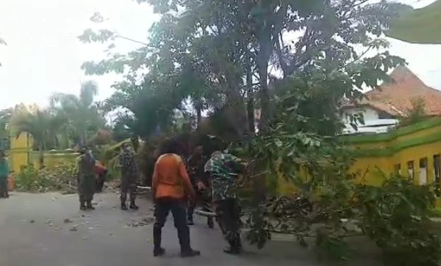 Antisipasi Bencana Alam, Babinsa Koramil 01/Tegal Barat Ajak Warga Gotong Royong Tebang Pohon