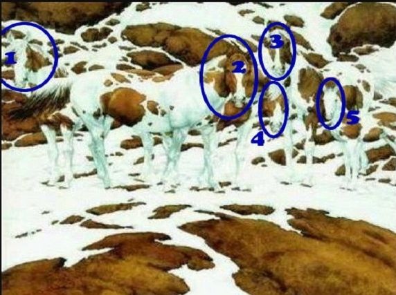Jawaban tes IQ dalam menemukan jumlah kuda di gambar ini. Bhavini Online