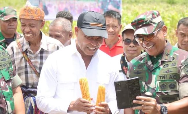 Gubernur NTT berharap, produktivitas jagung harus ditingkatkan lagi dengan memanfaatkan luas lahan potensial secara maksimal