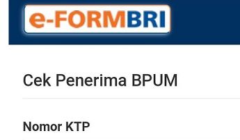 Link EForm BRI untuk mengecek penerima BLT UMKM atau Banpres Produktif Usaha Mikro (BPUM).