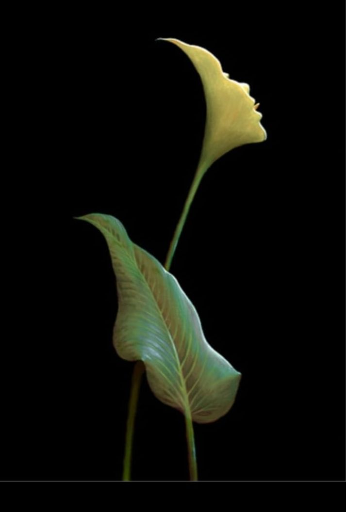 Tes Kepribadian: Coba Ilusi Optik Wajah Bunga Ini, Gambar yang Pertama Terlihat Ungkap Sisi Sensitifmu