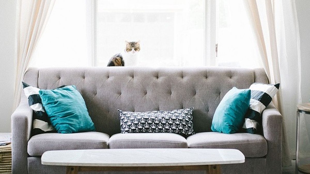 7 Inspirasi Sofa Bed Minimalis Terbaru untuk Maksimalkan Ruang