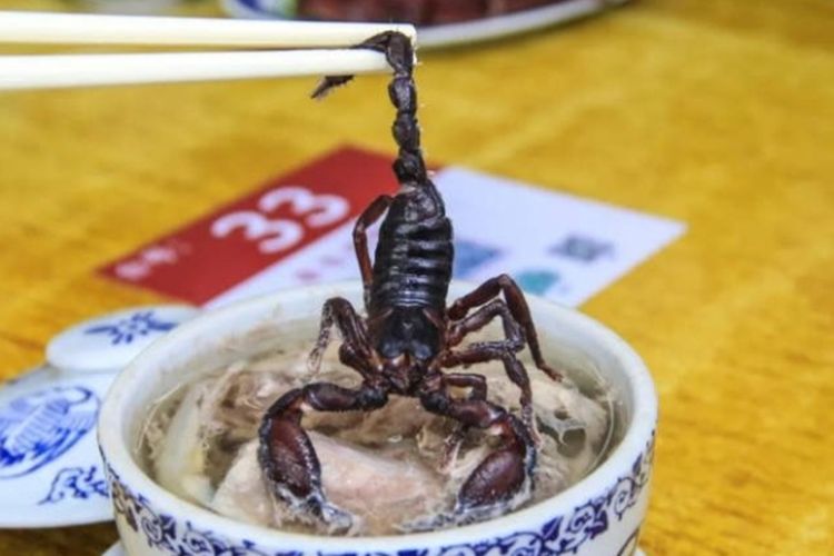 Hiii Sup Kalajengking Utuh Ternyata Jadi Makanan Tradisional Di China