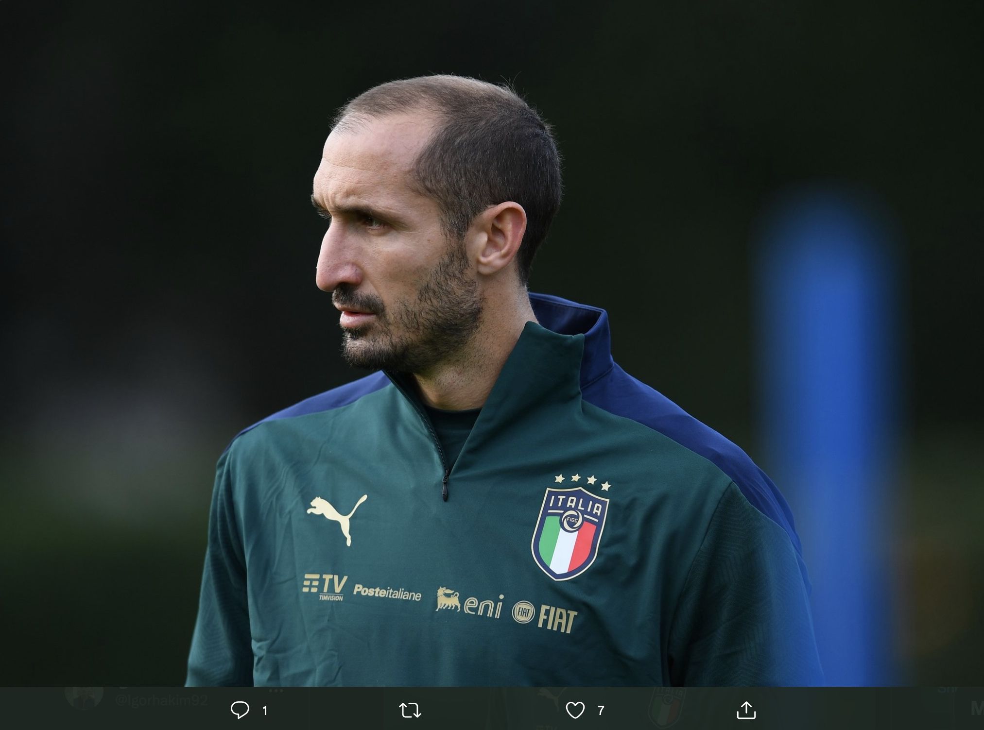Bek Tengah Timnas Italia dan Juventus, Giorgio Chiellini.