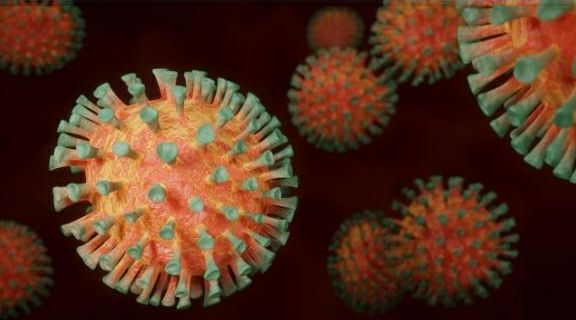 Ilustrasi Virus Marburg yaitu virus yang perlu diwaspadai