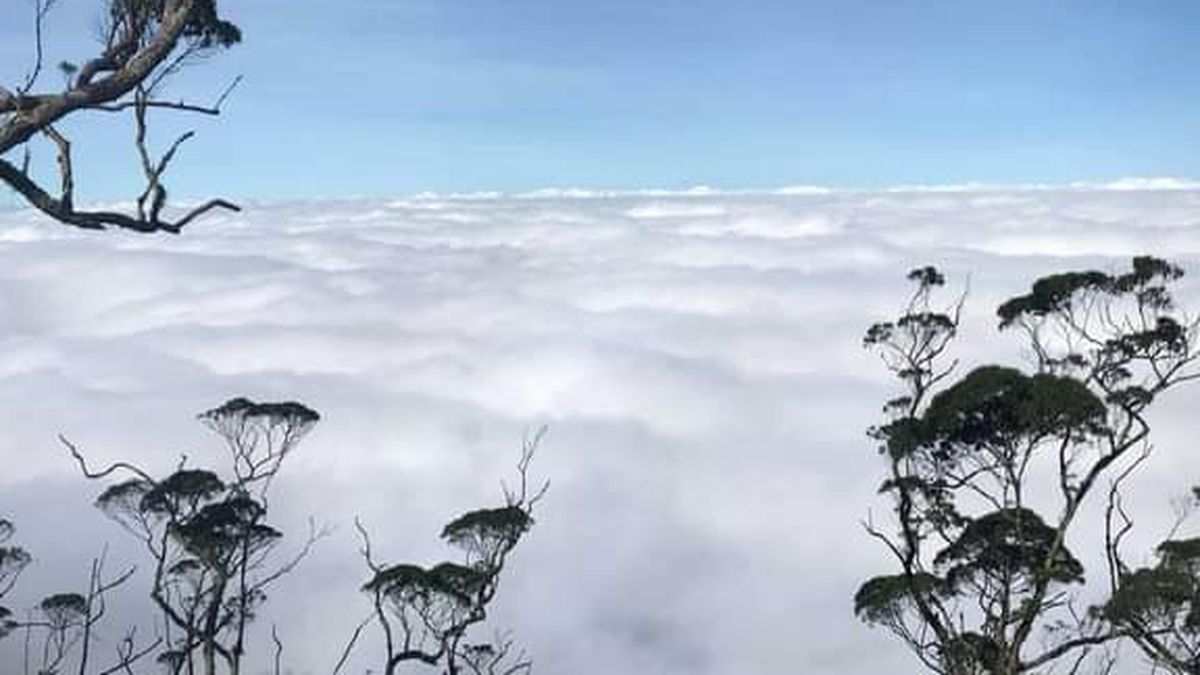 Menelusuri Keindahan Gunung Mutis: Permata Alami Pulau Timor yang ...