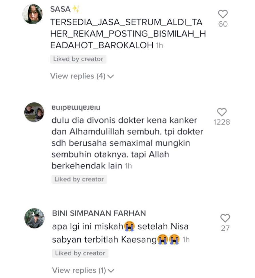 Komentar Netizen atas lagu Aldi Taher.