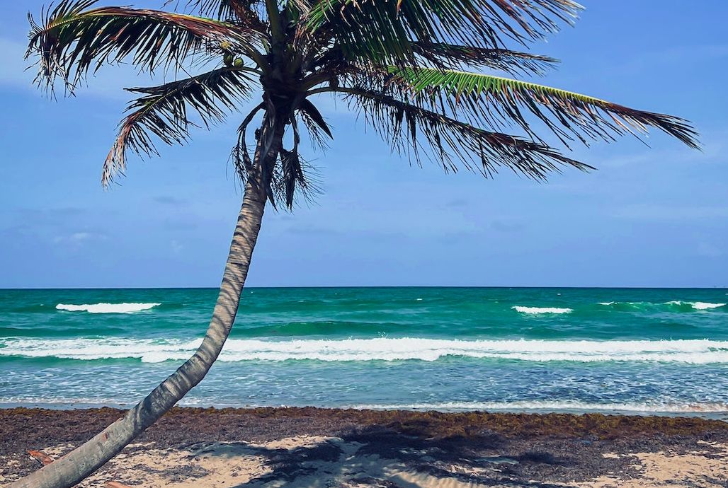 7 Tempat Wisata di Sierra Leone untuk Liburan Keluarga, Mulai dari Pantai  Banana Islands hingga Pulau Bunce - Media Pakuan