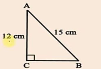 Contoh Soal Teorema Pythagoras Kelas 8 SMP Semester 2 beserta Kunci Jawaban dan Pembahasan Terbaru 2022