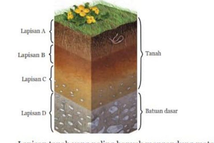 struktur lapisan tanah