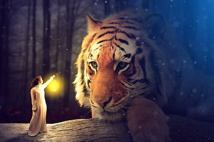 Inilah Arti Mimpi Dikejar Harimau menurut Primbon Jawa Portal Kudus
