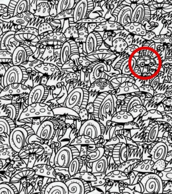Tes IQ dengan menemukan mobil pada gambar doodle art siput dan jamur yang berwarna hitam dan putih di atas