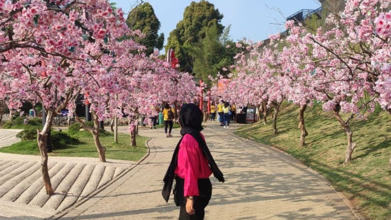 Terlihat wanita yang sedang berada di Taman Sakura Kebun Raya Cibodas Bogor 