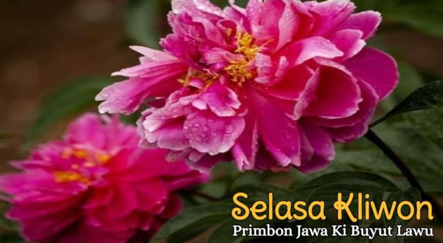 Kalender Jawa Selasa September Lengkap Dengan Keterangan Pasaran Wuku Dan Weton Hari